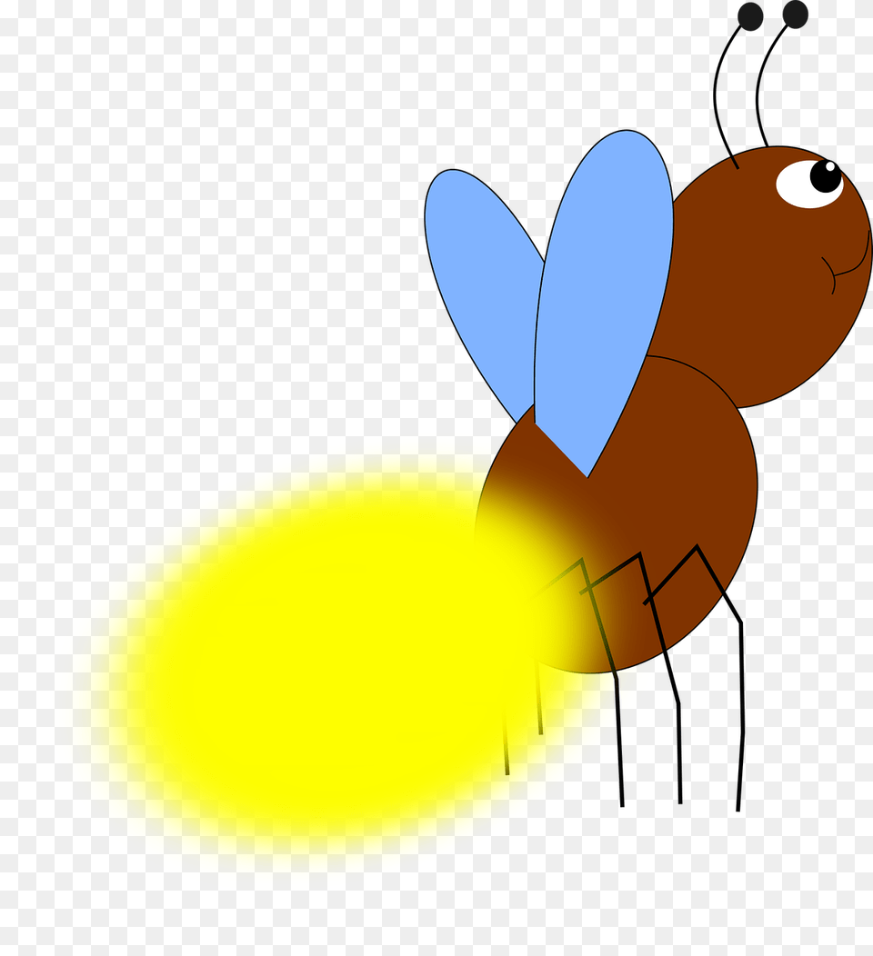 Fireflies Wallpaper, Animal, Astronomy, Firefly, Insect Free Transparent Png