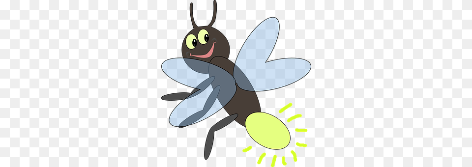 Firefly Animal, Insect, Invertebrate, Bee Png