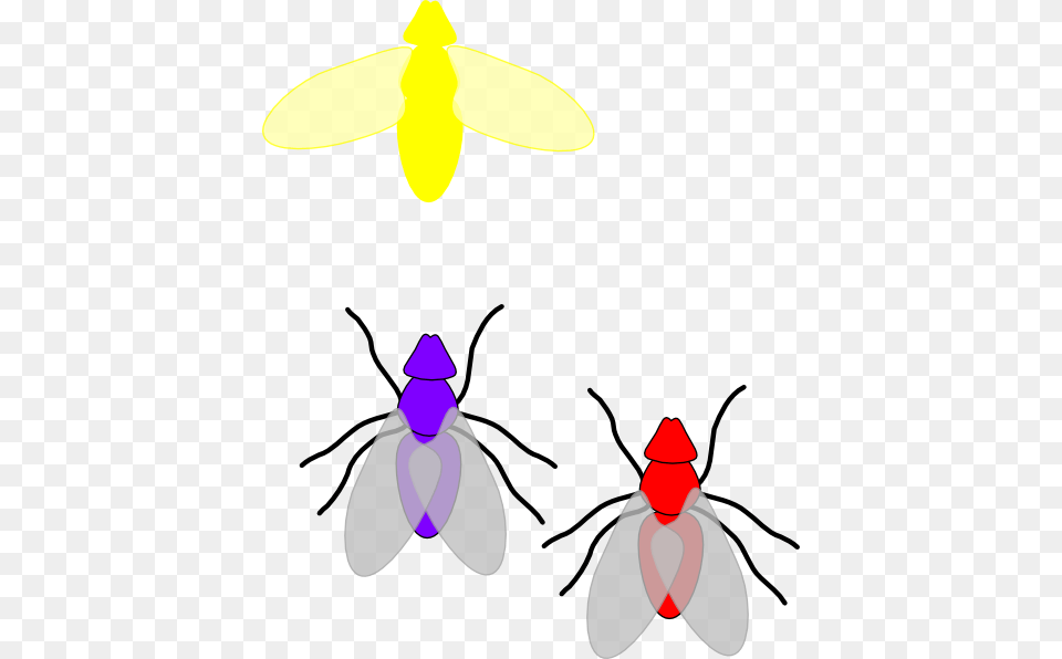 Firefly Bug Clip Art, Animal, Fly, Insect, Invertebrate Free Png
