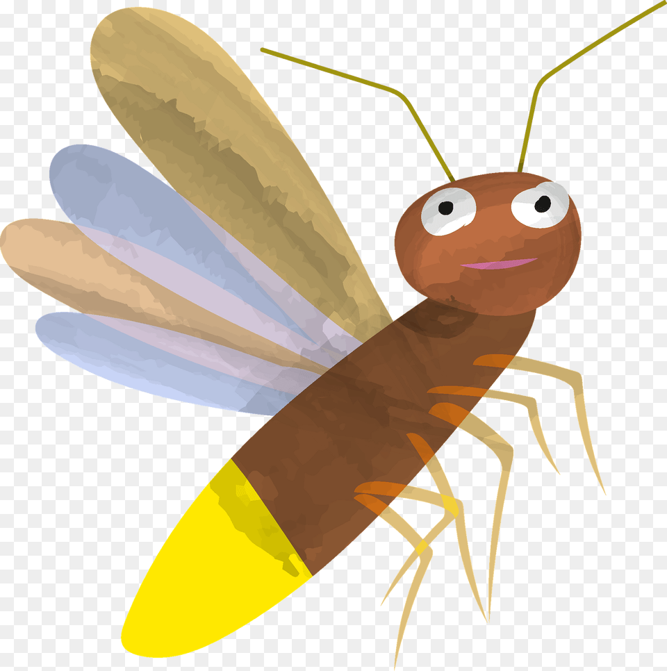 Firefly Clipart, Animal, Face, Head, Person Png Image