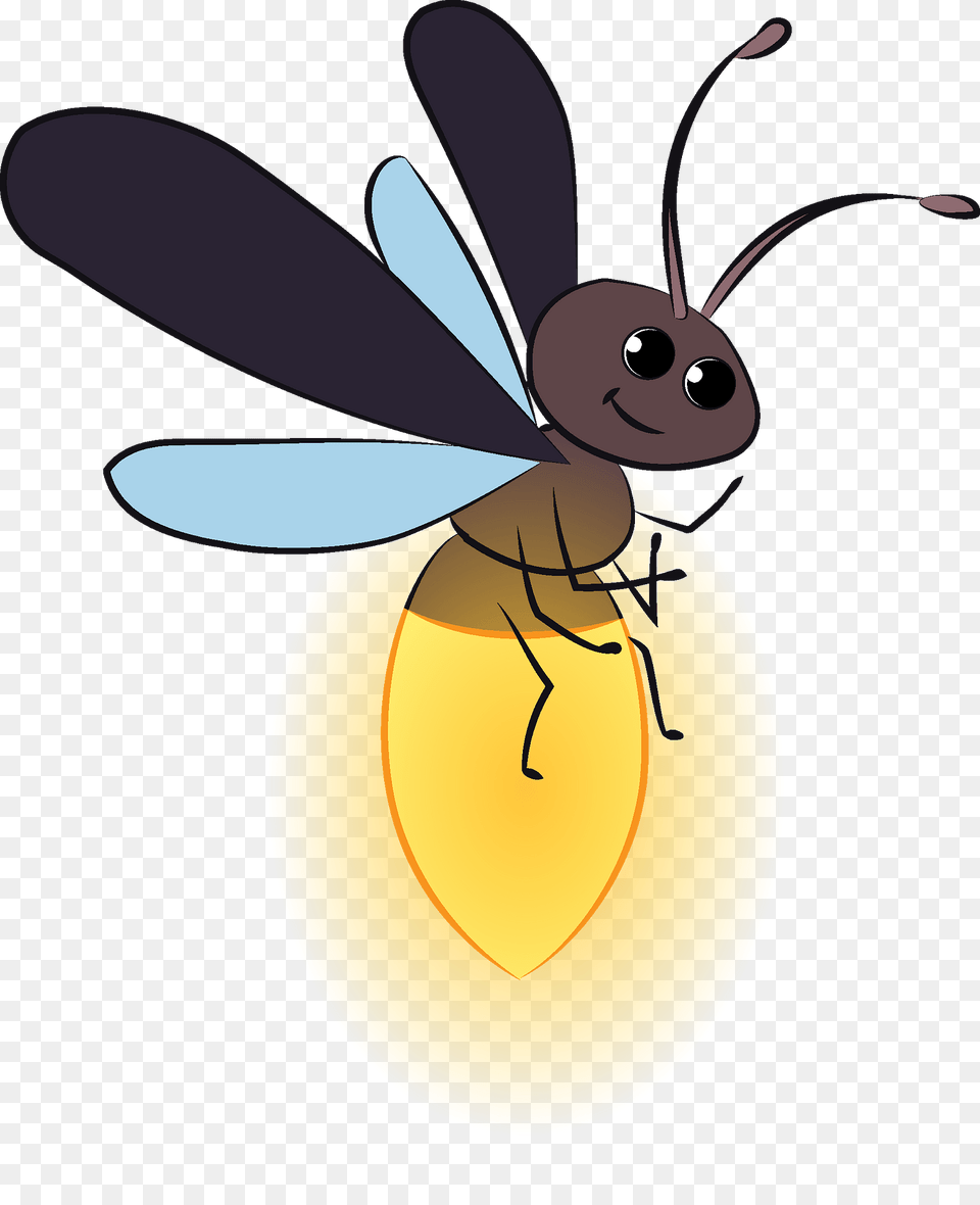 Firefly Clipart, Animal, Bee, Insect, Invertebrate Png Image