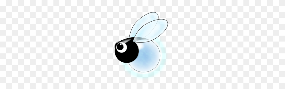 Firefly Clipart, Disk, Animal, Bee, Insect Free Transparent Png