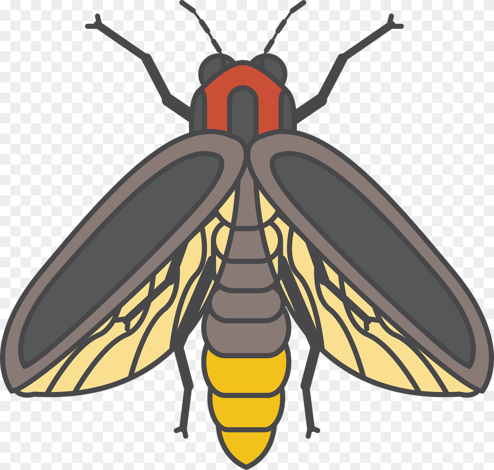 Firefly Clipart, Animal, Insect, Invertebrate, Dynamite Free Png