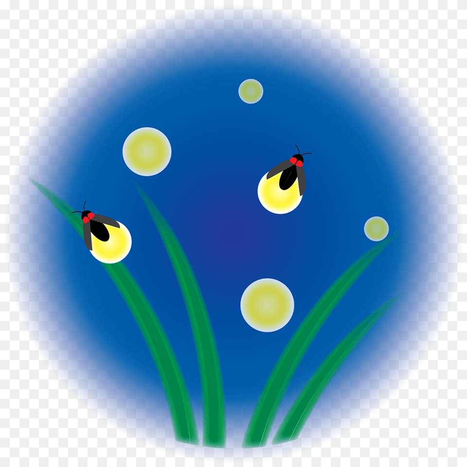 Firefly Grass Night Clipart, Graphics, Art, Astronomy, Outdoors Free Transparent Png