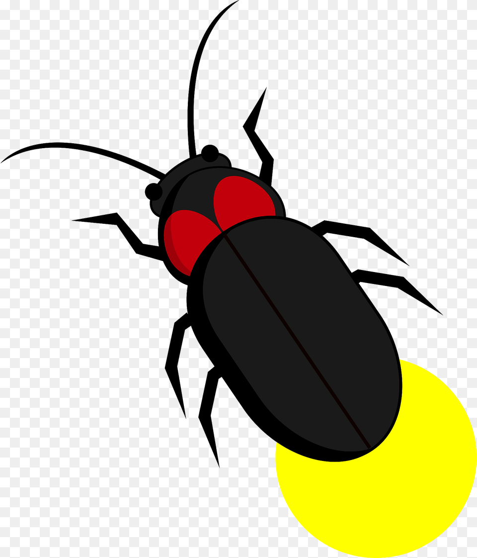 Firefly Insect Clipart, Animal, Invertebrate Png Image