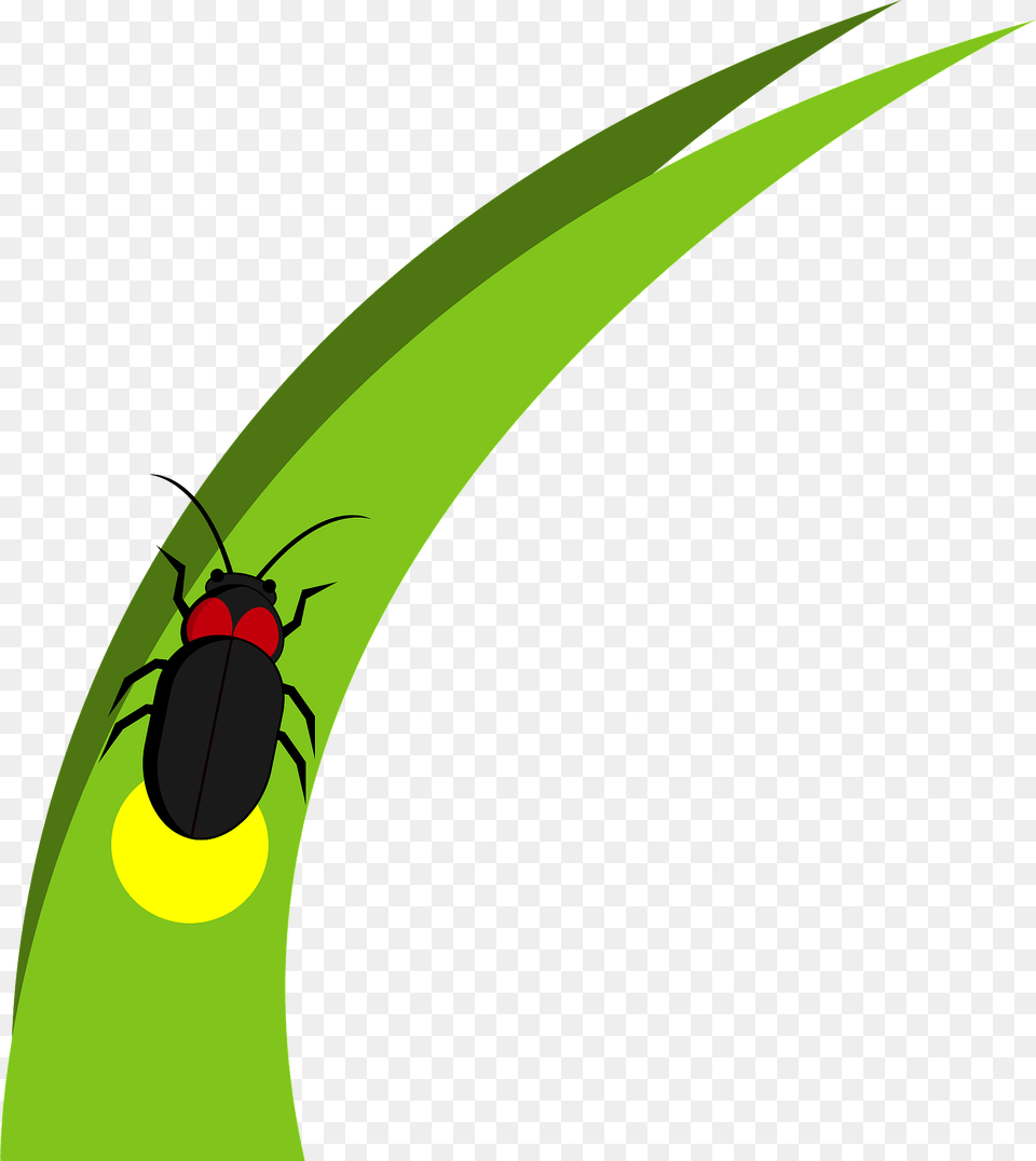 Firefly On Grass Blade Clipart, Animal, Insect, Invertebrate Free Transparent Png