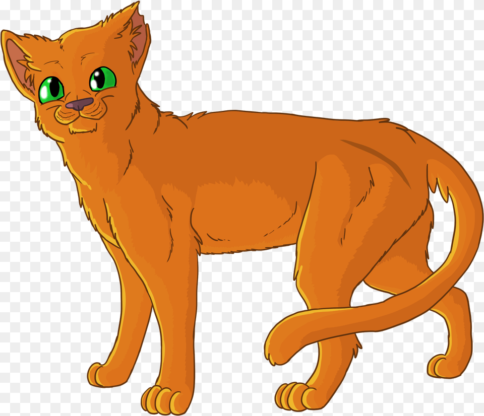 Fireheart Fire Heart Cat, Animal, Mammal, Pet, Abyssinian Free Png