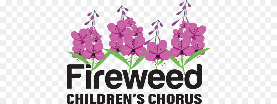 Fireweed Childrenu0027s Chorus Yellowknife Choral Society Language, Flower, Plant, Purple Free Transparent Png