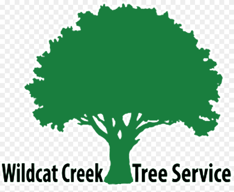 Firewood For Sale In Lafayette Indiana Wildcat Creek Tree Blackwood Butchers Of Streetly, Plant, Oak, Vegetation, Sycamore Free Png
