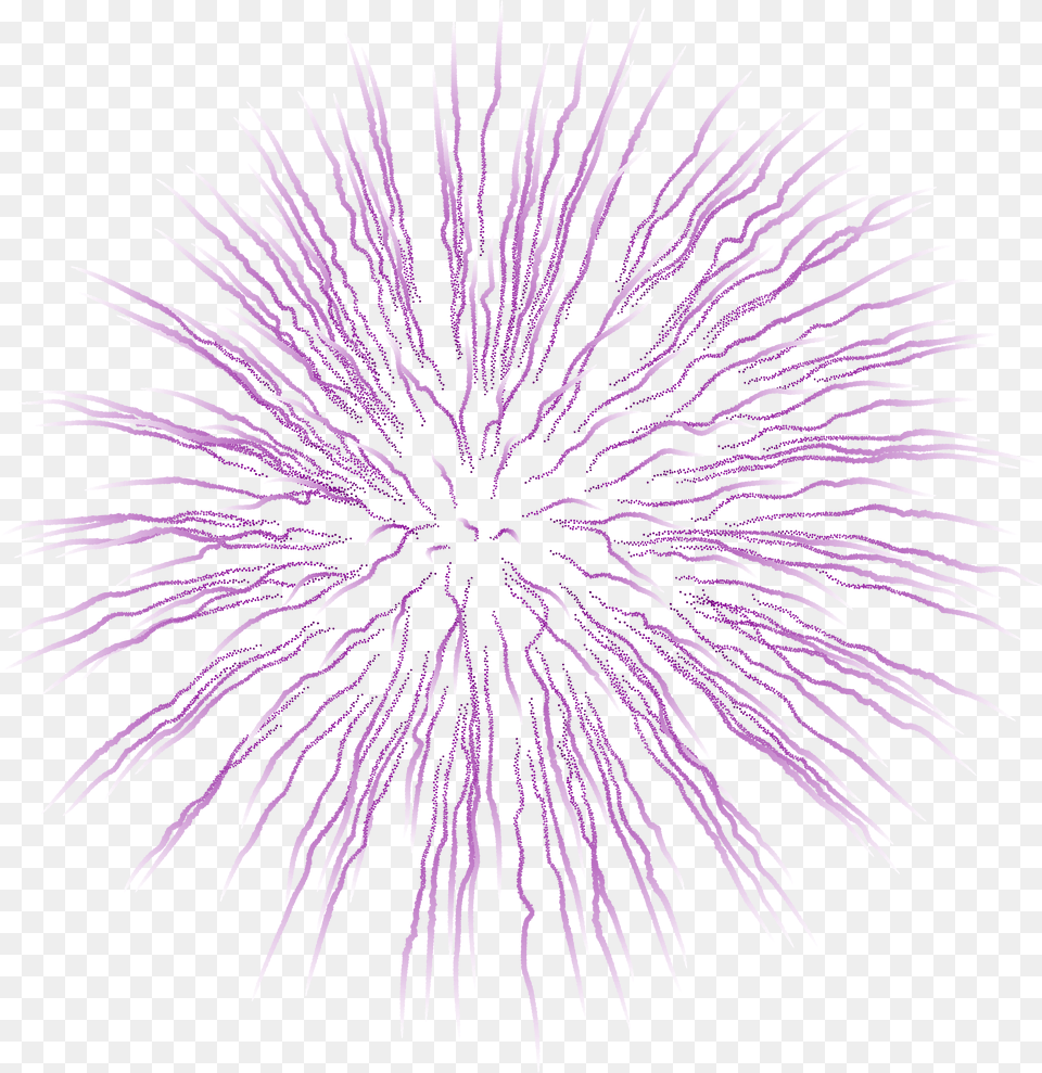 Firework Clipart Purple Light Effect Gif, Fireworks, Plant, Flower Png Image