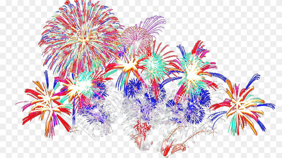 Firework Effects Fireworks Background, Plant Free Png