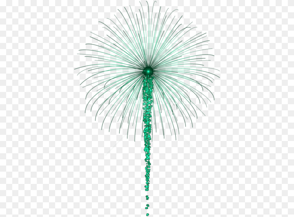 Firework For Dark S Transparent Green Fireworks, Flower, Plant Free Png