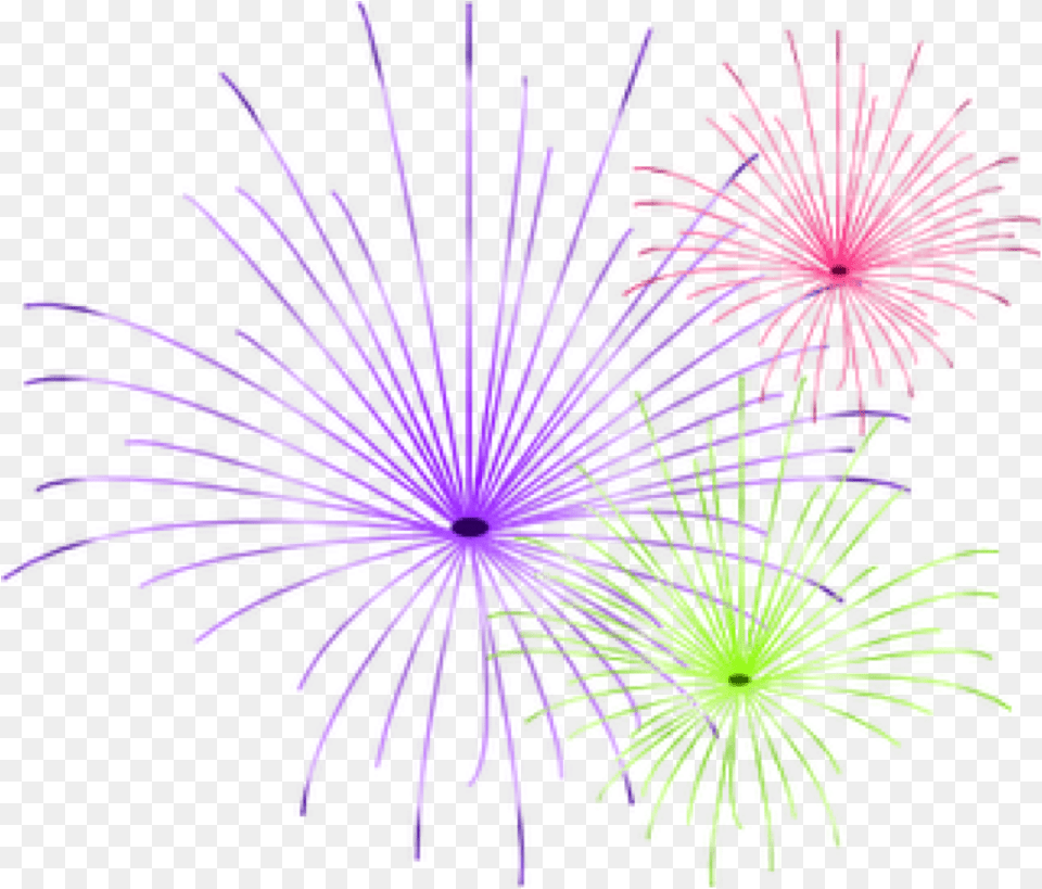 Firework Images, Fireworks, Plant, Purple, Light Png Image