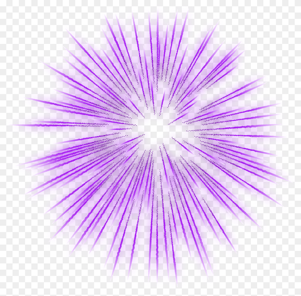 Firework Purple Transparent Clip Art Free Png Download