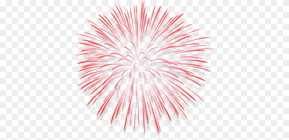 Fireworks, Plant Free Transparent Png