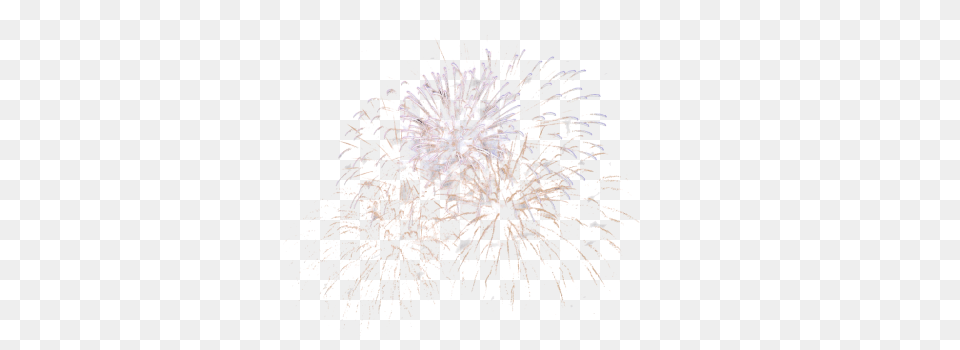 Fireworks Free Transparent Png