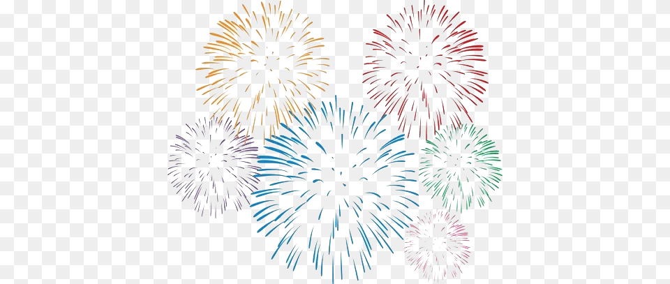 Fireworks, Plant Free Png Download