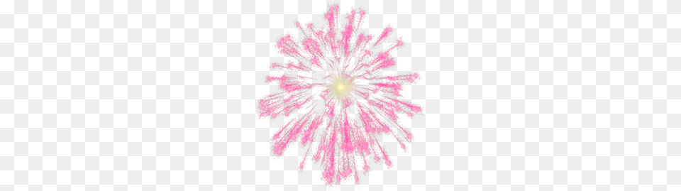 Fireworks, Chandelier, Lamp, Flower, Light Free Png