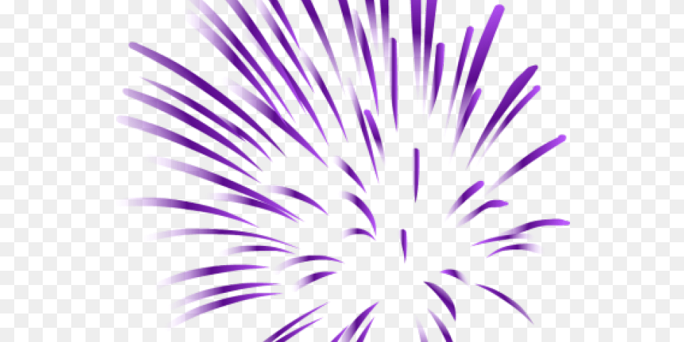 Fireworks, Purple, Person Png