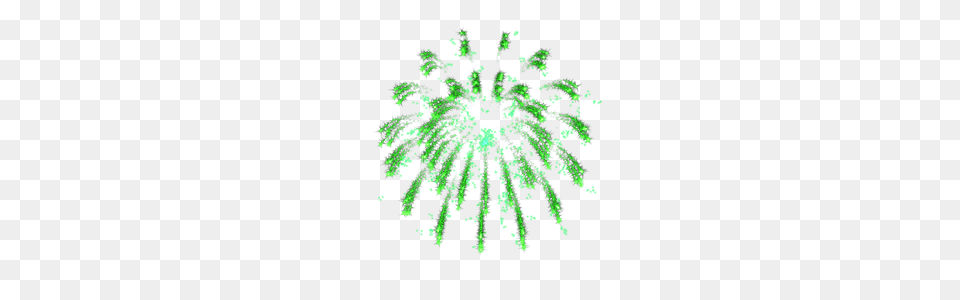 Fireworks, Plant, Accessories, Pattern, Green Png Image