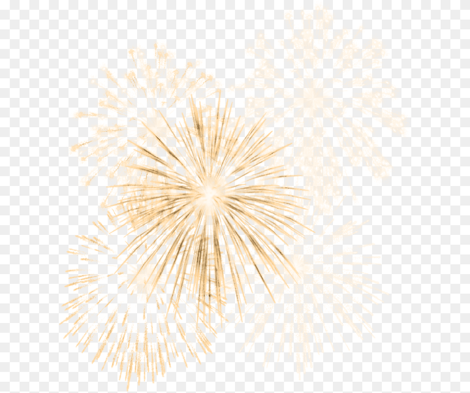 Fireworks, Plant, Outdoors Free Png Download
