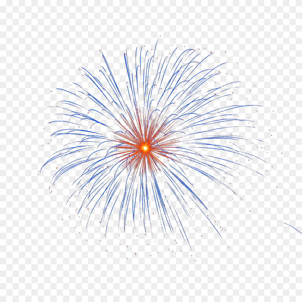 Fireworks, Plant Free Png