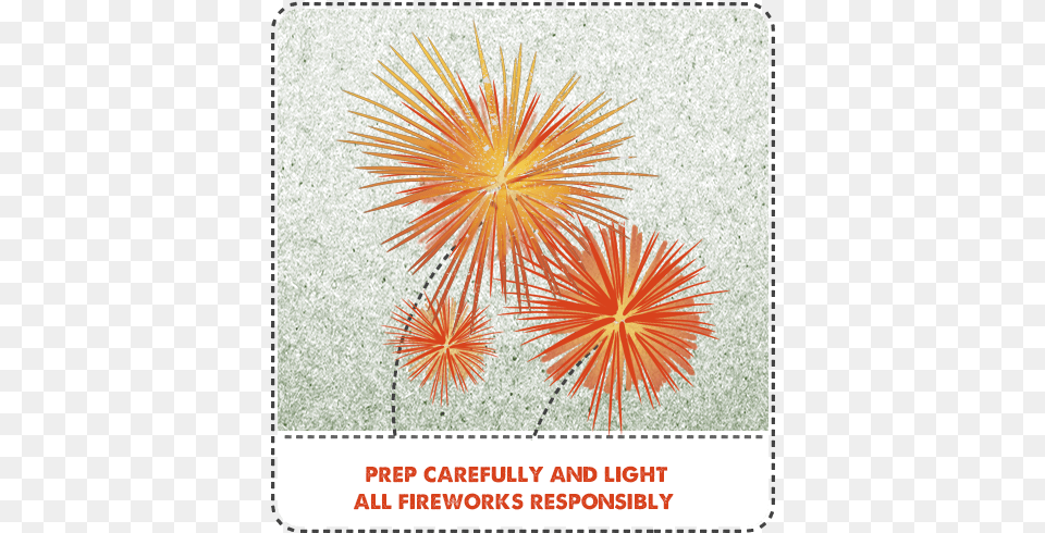 Fireworks, Pattern, Art, Floral Design, Graphics Png