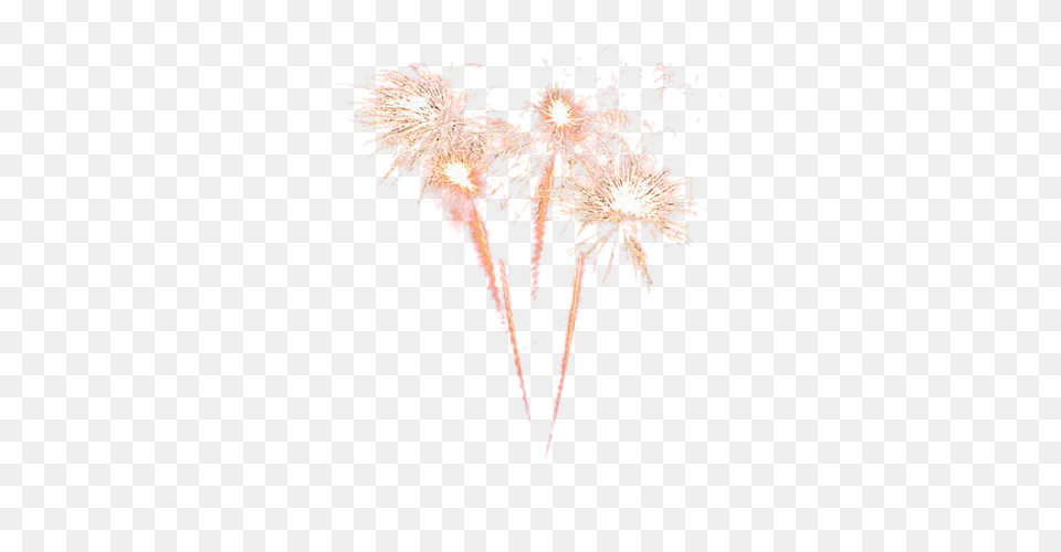 Fireworks Free Transparent Png