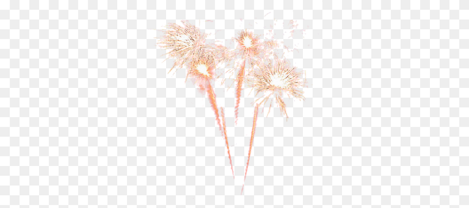 Fireworks 24 Transparency Fire Works White Background, Chandelier, Lamp Png