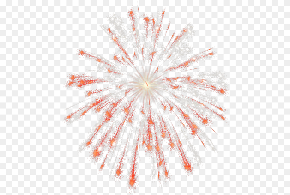 Fireworks 24 Transparency Picture Orange Fireworks Transparent, Pattern, Plant, Accessories, Fractal Free Png Download