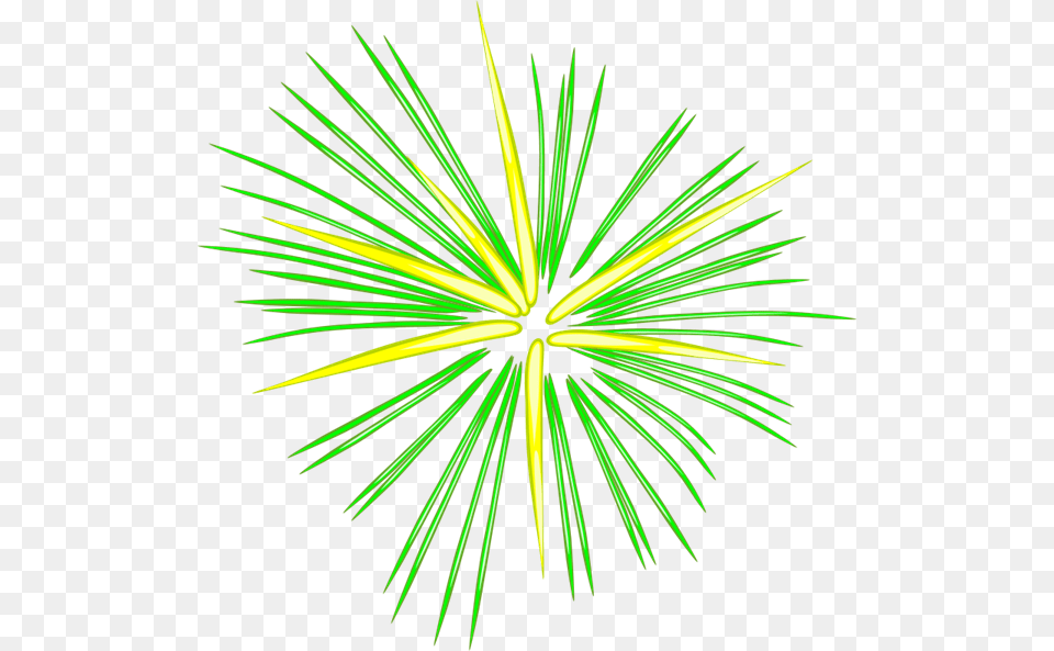 Fireworks, Light, Plant Png