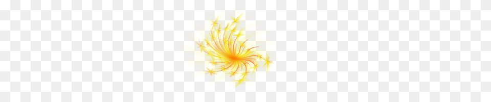 Fireworks, Flower, Plant, Petal, Dandelion Free Png