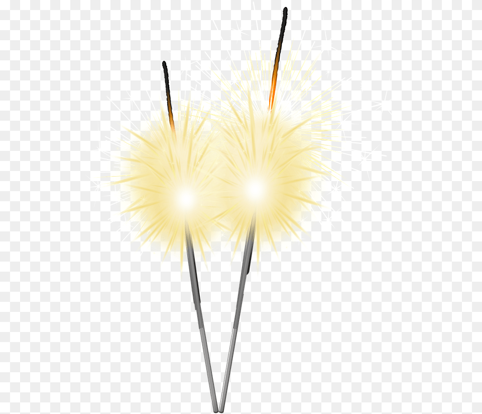 Fireworks, Flower, Plant, Dandelion, Chandelier Png Image