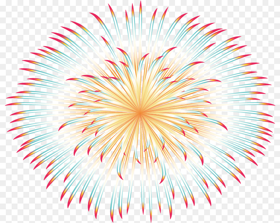 Fireworks, Plant Free Png