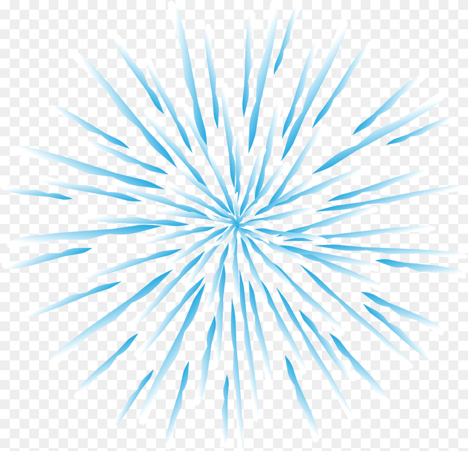 Fireworks, Plant, Nature, Outdoors, Pattern Free Transparent Png