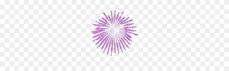 Fireworks, Purple Free Transparent Png