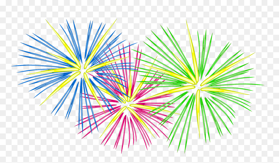 Fireworks, Plant, Light Free Png