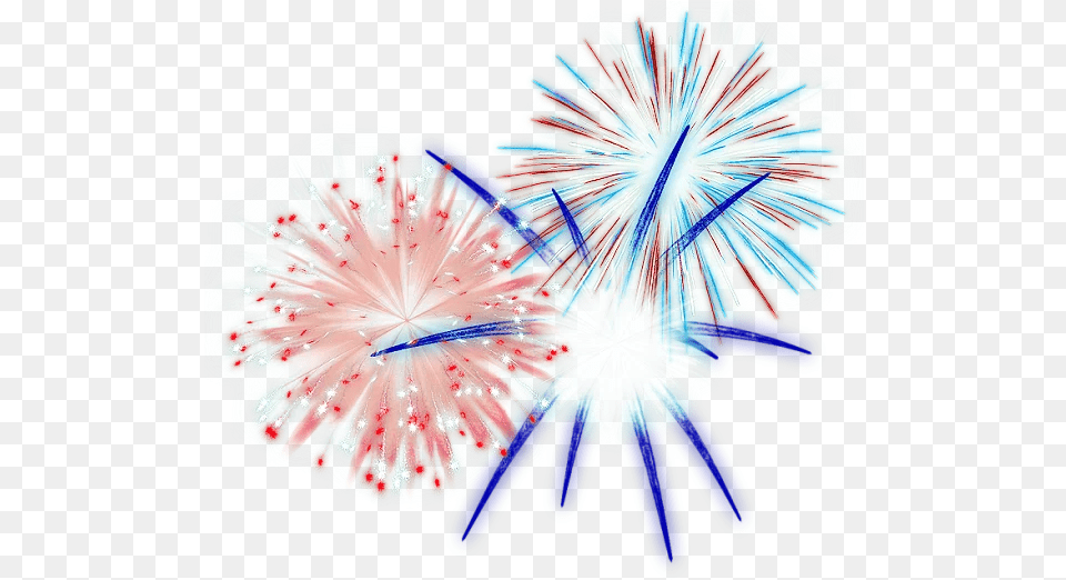 Fireworks 4th Of July Fireworks Independence Day Feu D Artifice, Flower, Plant Png