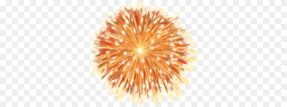 Fireworks, Animal, Invertebrate, Sea Life, Seashell Free Png