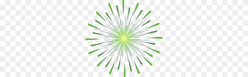 Fireworks, Light, Lighting, Plant, Laser Free Transparent Png