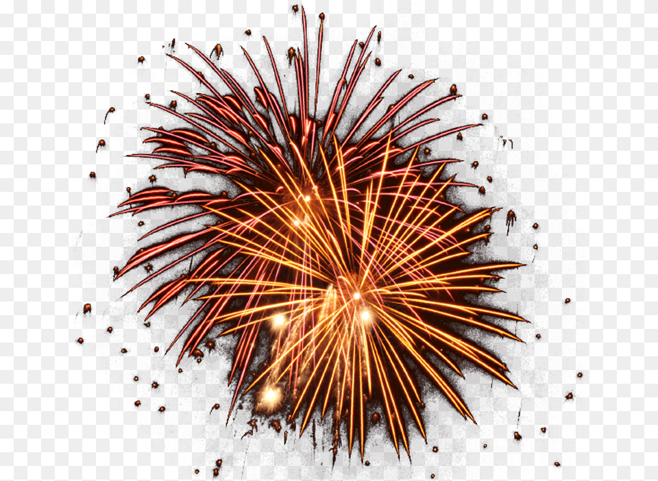 Fireworks, Plant Free Png Download