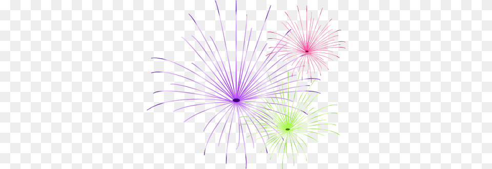 Fireworks, Light, Plant Free Png