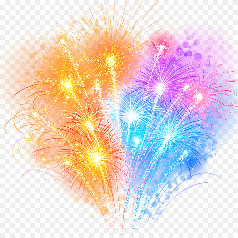 Fireworks, Plant, Light, Pattern Free Png Download