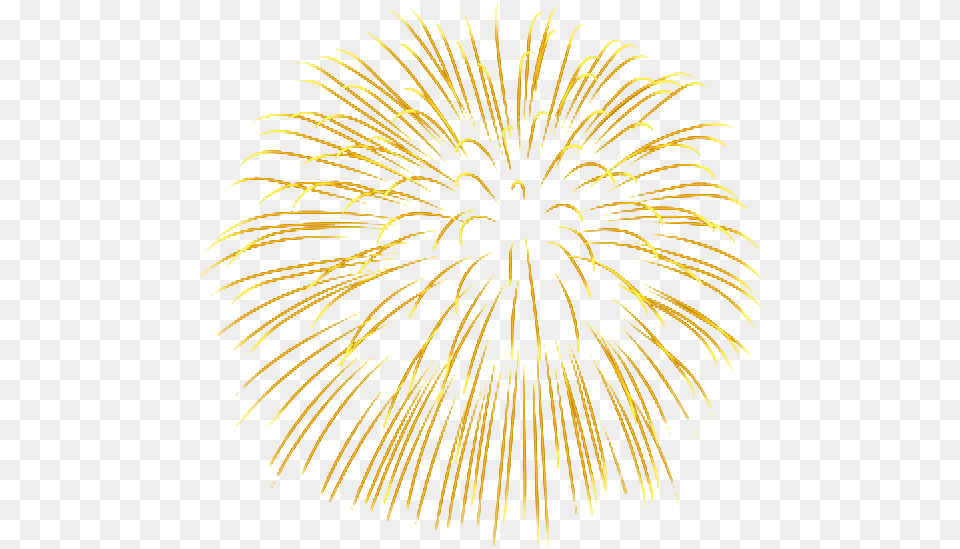 Fireworks Background Fireworks, Plant Free Png