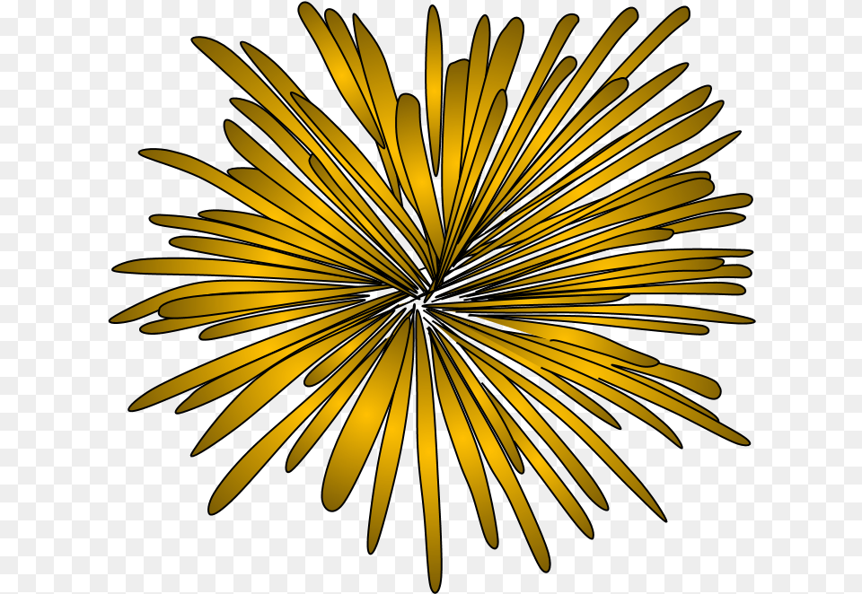 Fireworks Burst Style 2 Gold Yellow Illustration, Daisy, Flower, Plant, Pattern Png Image