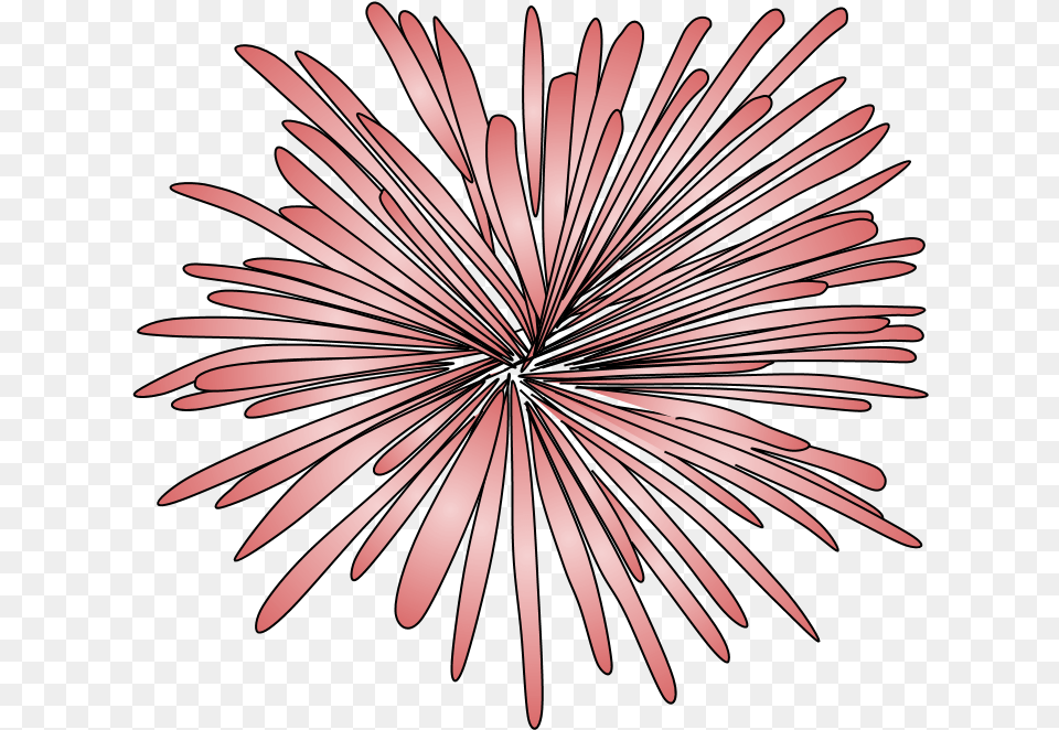 Fireworks Burst Style 2 Pink Red, Daisy, Flower, Plant, Pattern Free Transparent Png