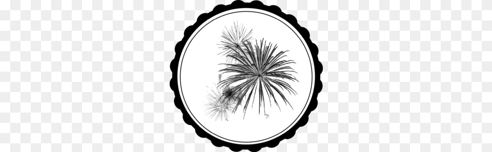 Fireworks Clip Art, Flower, Plant, Dandelion, Drawing Png Image