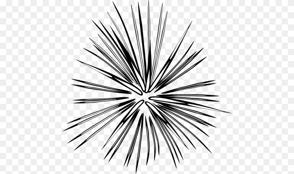 Fireworks Clip Art Black And White Clipart, Plant Png Image