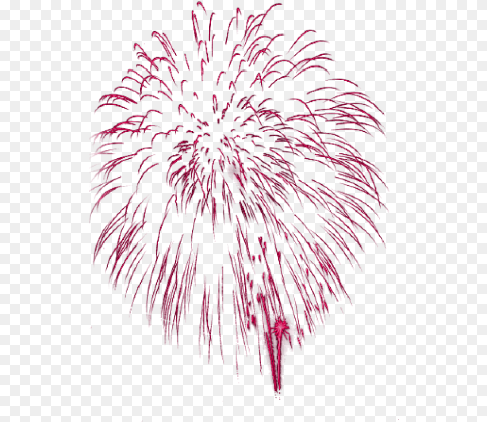 Fireworks Clip Art Gif Fireworks Download 640 Fireworks Gif Plant Free Transparent Png