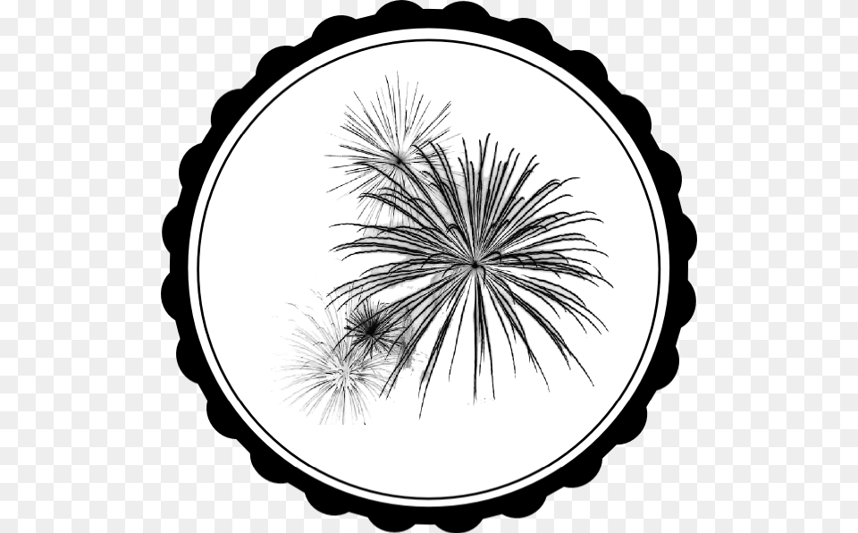 Fireworks Clip Arts Download, Flower, Plant, Art, Drawing Png